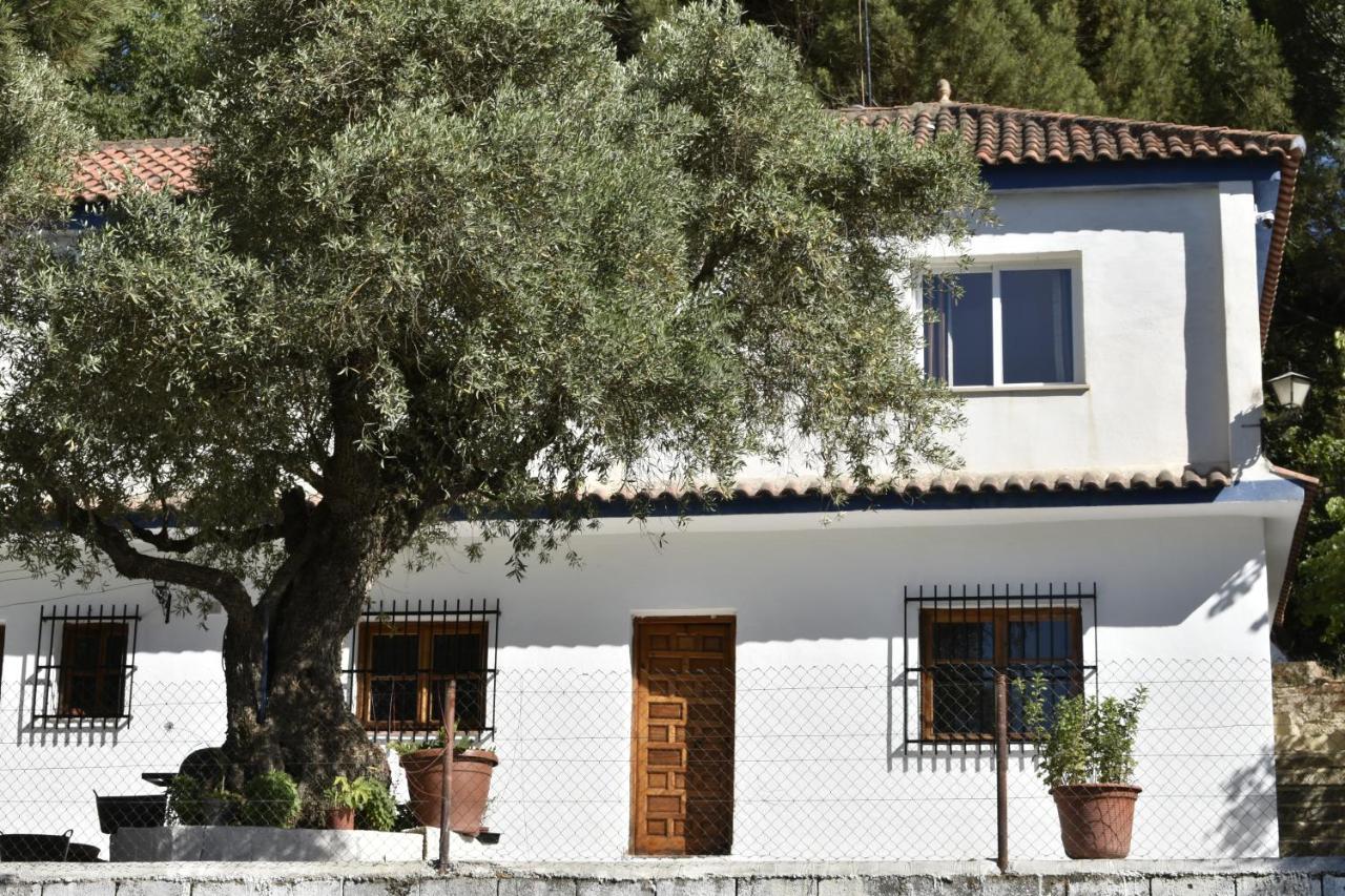 Dudar La Casa De Lya 빌라 외부 사진