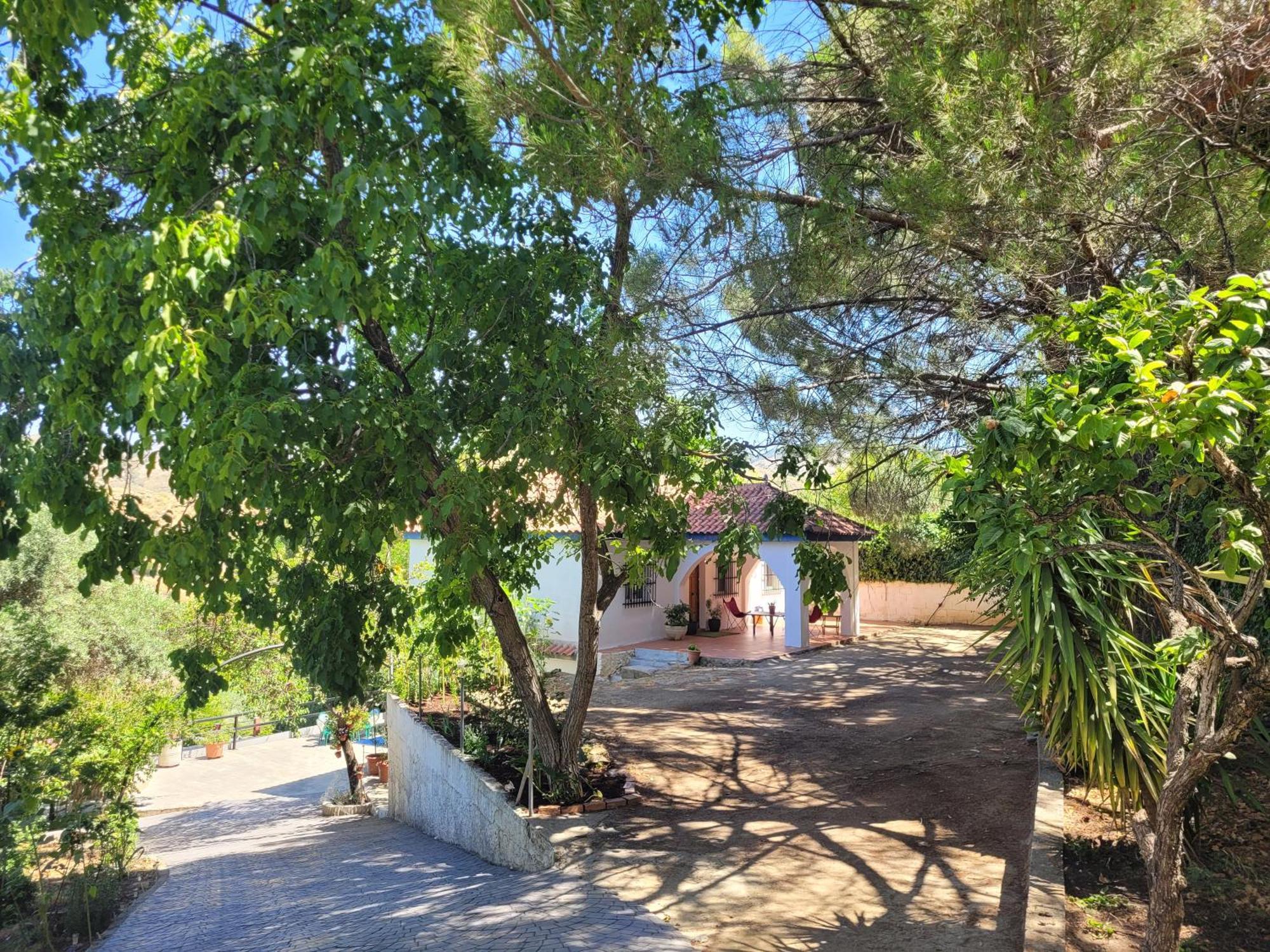 Dudar La Casa De Lya 빌라 외부 사진